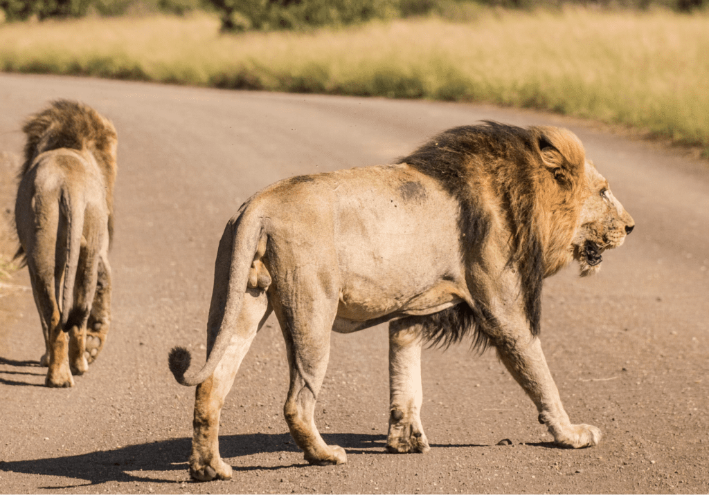 Heaven, By K. Exum Poetry Catalog