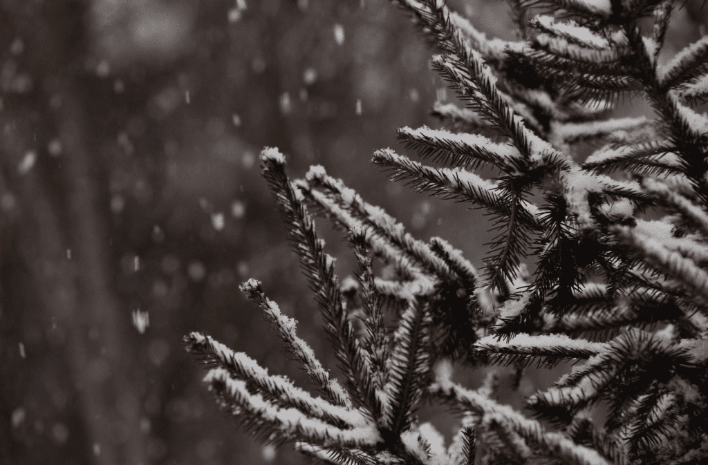 Goody Blake And Harry Gill, By William Wordsworth Poetry Catalog