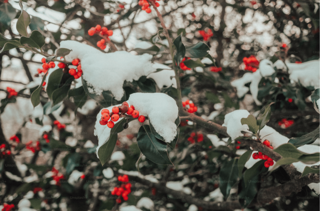 How Sweet It Is, When Mother Fancies Frocks, By William Wordsworth